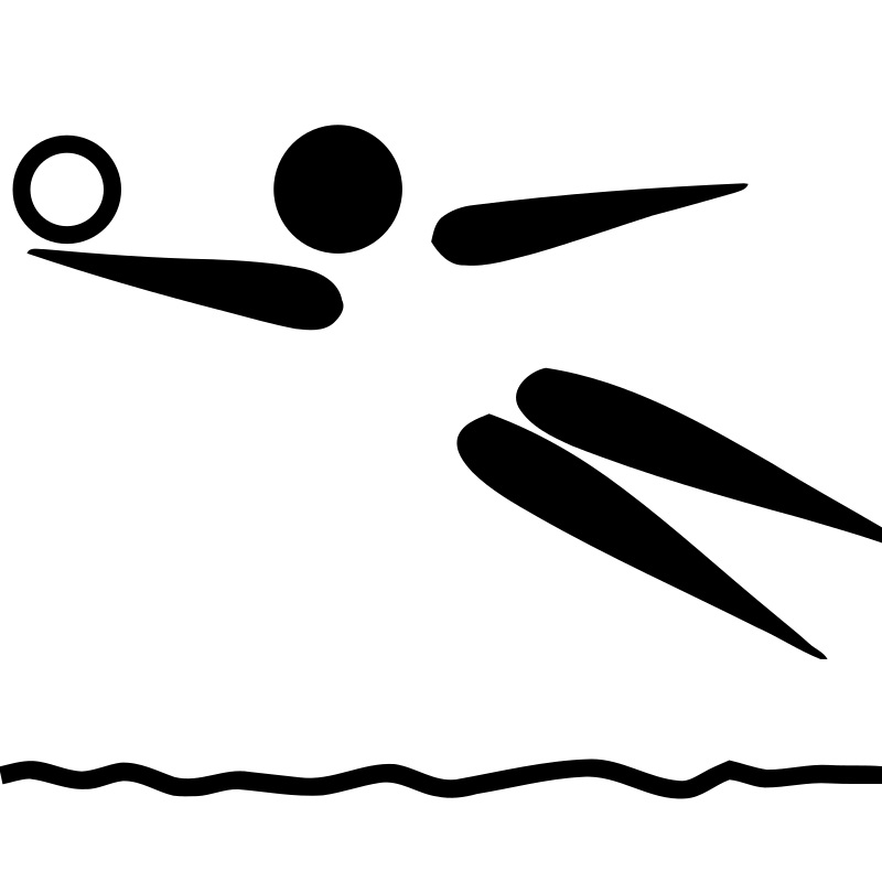 logo de volleyballplaya