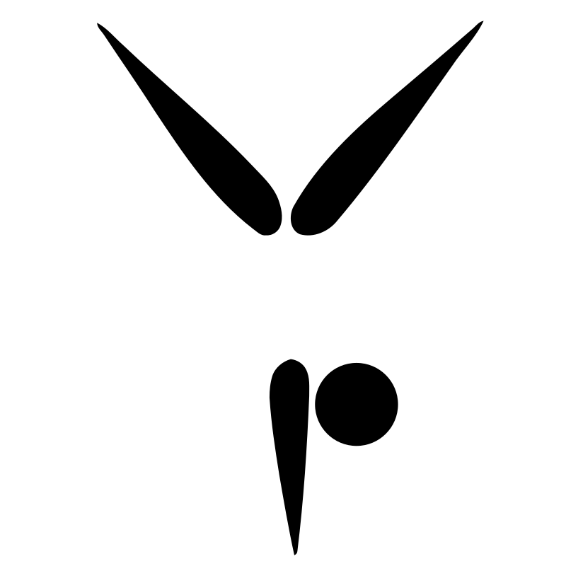 logo de gimnasia