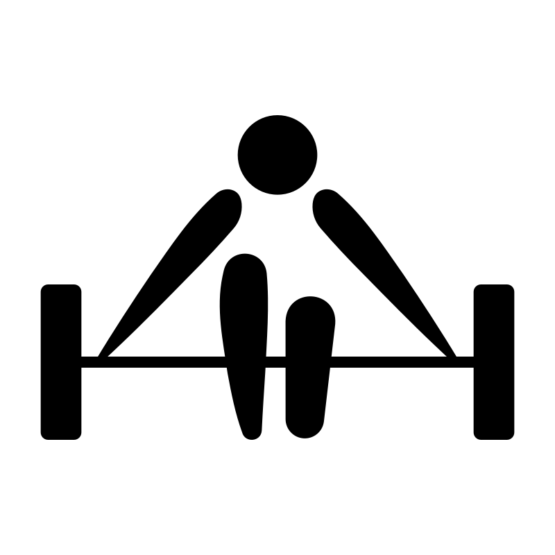 logo de Pesas